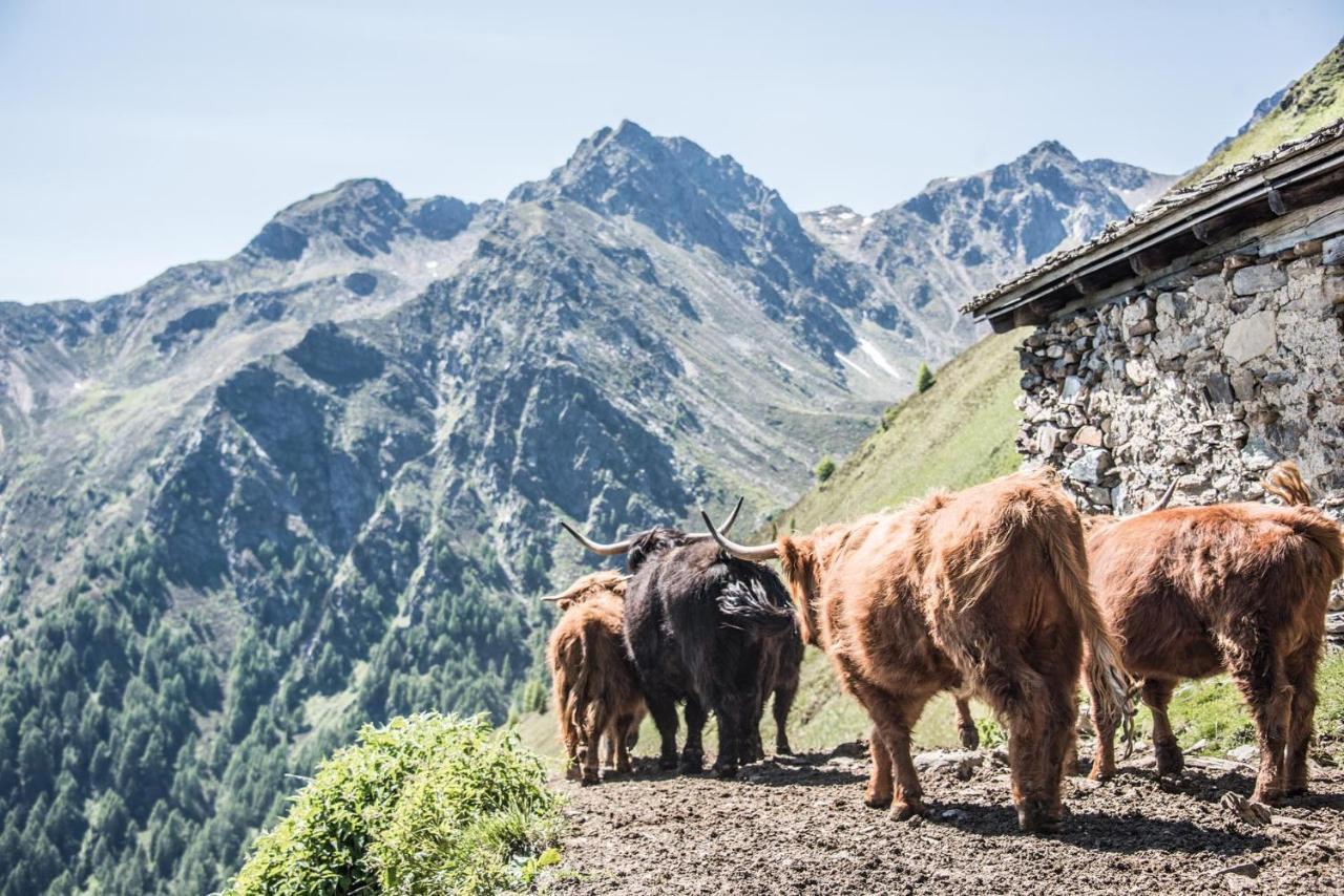 Archehof Hochzirm Lodge Anton กัมโปตูเรส ภายนอก รูปภาพ
